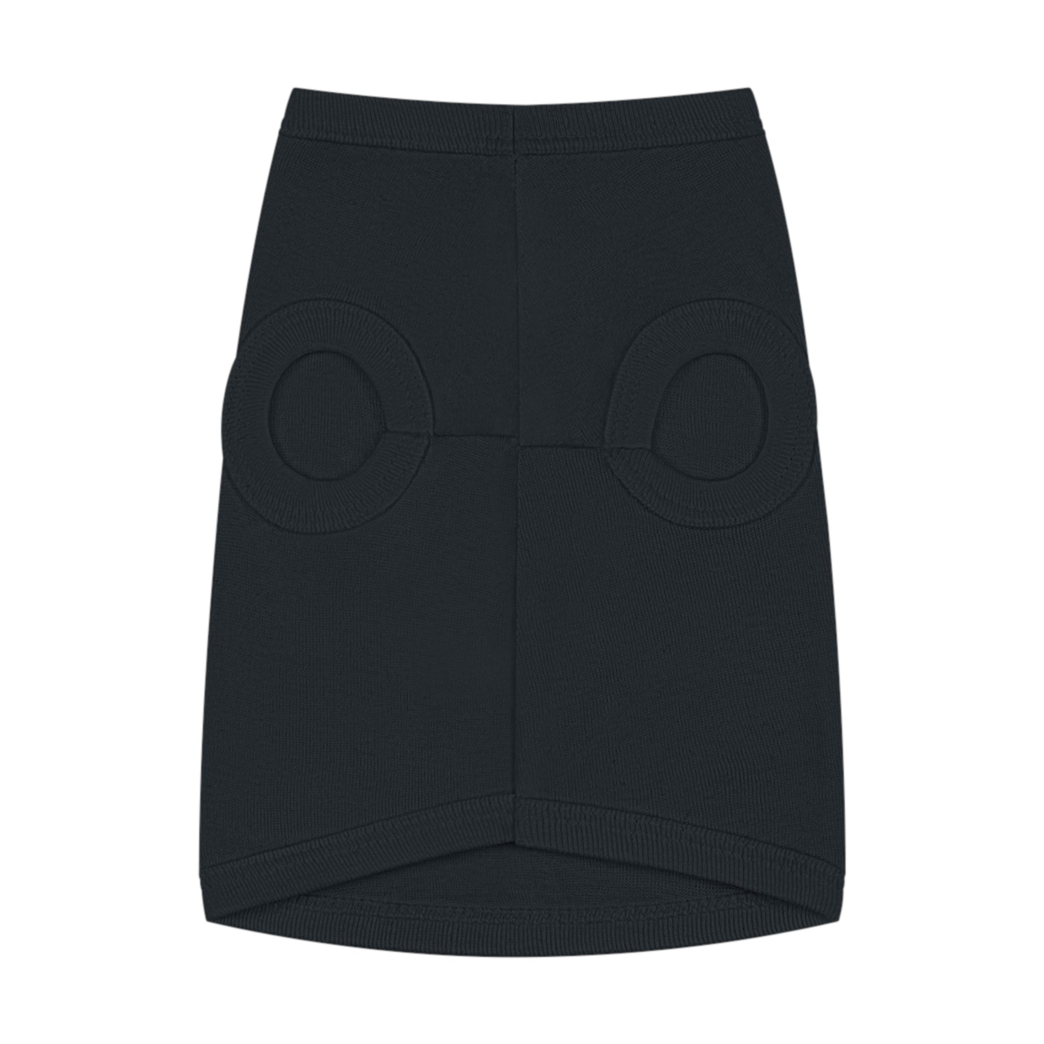 Pet Tank Top — "Second Coming" Crown Dog Shirt