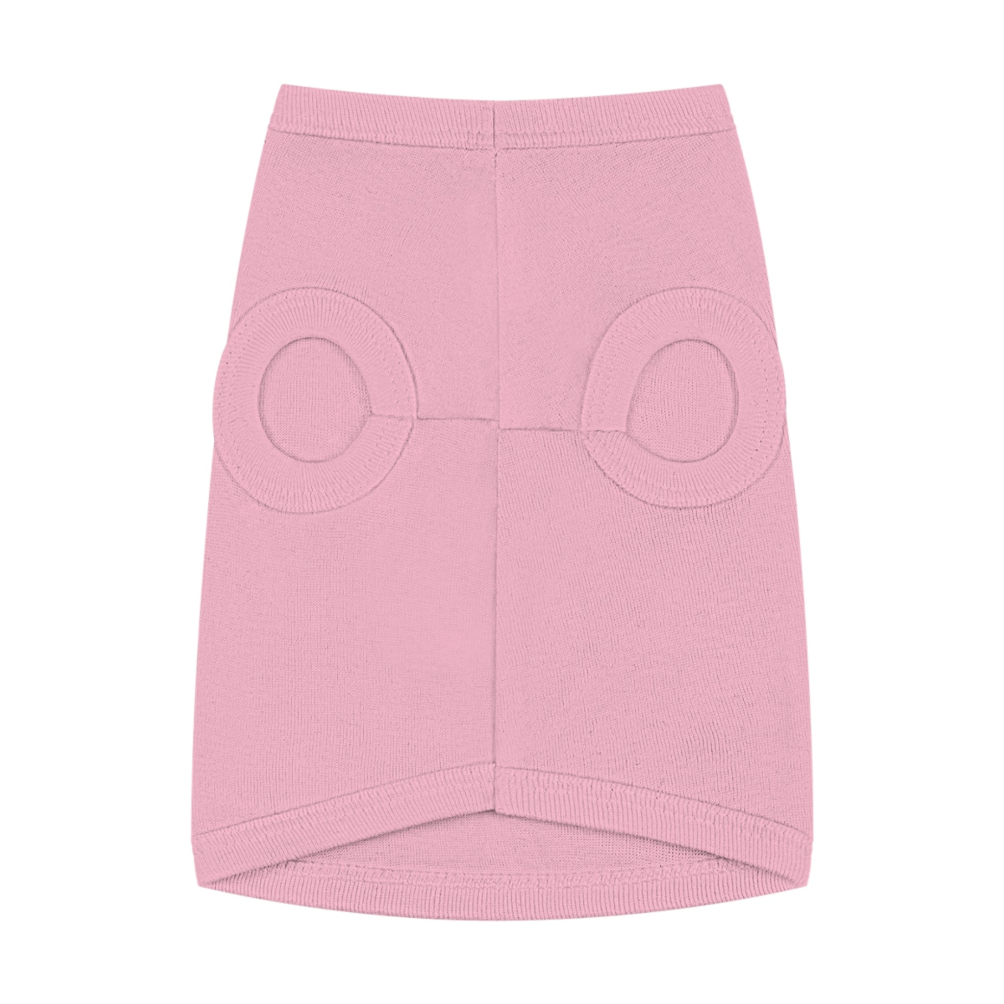 Pet Tank Top — "Second Coming" Crown Dog Shirt